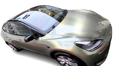 Schilf Grün Dunkel PET